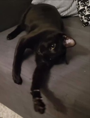 ��� � ����� ����. �������� � ���� � ������ �� ������