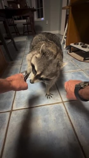 ������ ����, ������! �������� ��� ��� � ��������� ����������!