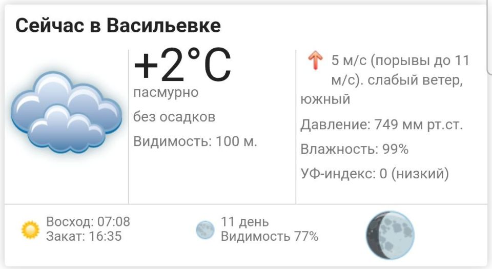 Сегодня, 29 января 2026 года в Васильевке пасмурно, без осадков