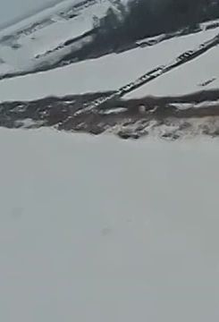 ����� ������ ��������� ������� ���� �� �������� ������ ������ � ����� � ������� ������, ��������� ������ ����������