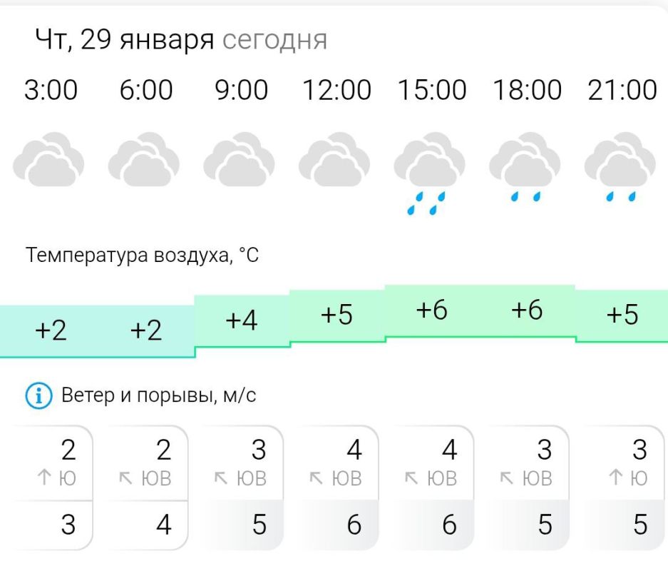 ПРОГНОЗ ПОГОДЫ. В четверг, 29 января в Энергодаре пасмурно, дождь