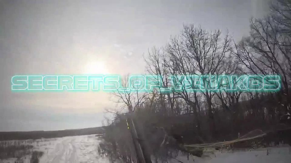 ������ �� ������� ���� ��� ���� ����� ���������� ��������� ���������