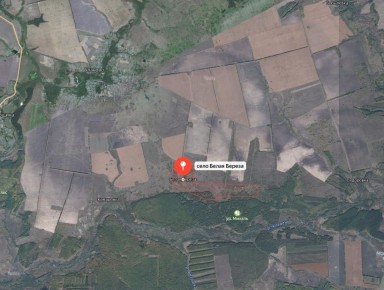 Белая Береза вернулась в Россию