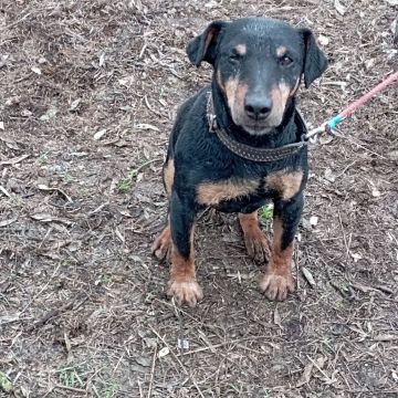 � ����� ����� ����� ���������� � ������� ���������� ���������� ������ ������ ���������, ������, �� �������� ���� ������� � ����� ��������,�� �� �� �������