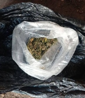 Спрятал под ящиком: в Акимовке сотрудниками полиции было выявлено хранение наркотиков