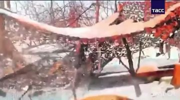 ���� ������ ����� � ����. ���������� �������� ������ ������������ ������������� � ����������� ������� "��������� ������������� 11-� ��������� ����������� ��������-��������� ������� ��������, ������ � �������� ������� ��...