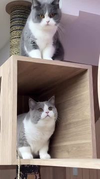 ���, ������ �����������. ����� � ������� ������ ���� ��������, �� ��������� ��� �����