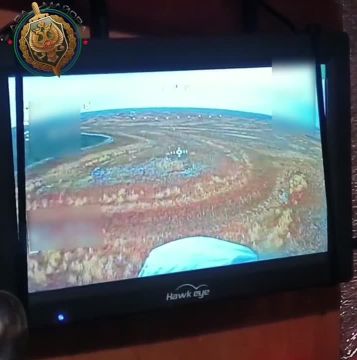 ��� ������: ����������� �����. ����� ������������� ���� 58-� ����� �������� ������ ��������� ������, � ����� ���������� ����, ��� ��������� �������� ���� ��� �� �������������