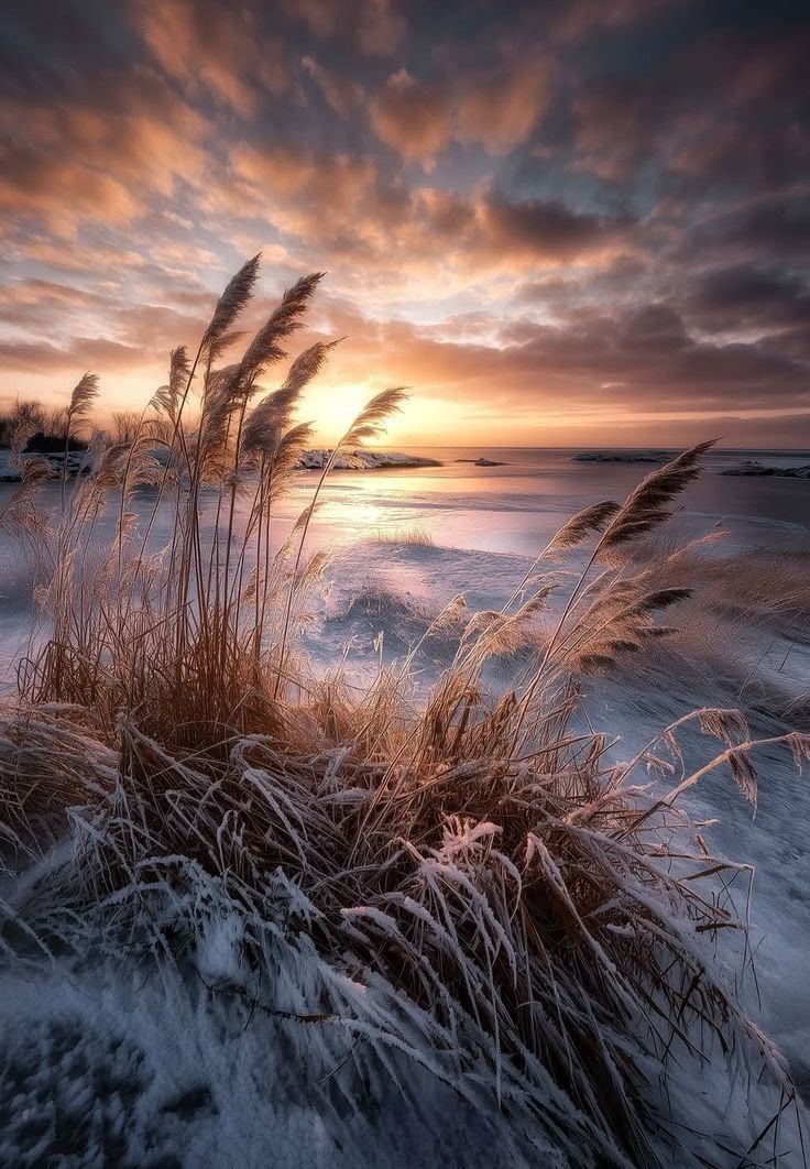 Спокойной ночи вам!