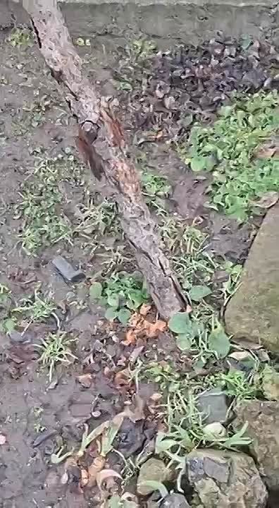 ��������� ������ ������������� �������������� ������!