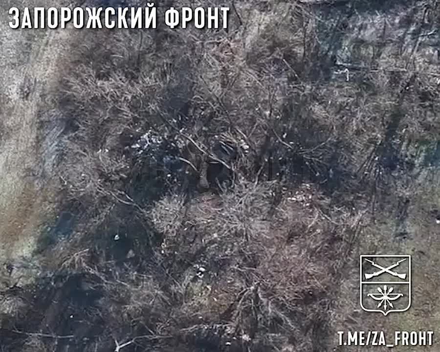 �������� ����� �� ������ �����, 291 ����, ���� � ����� �������� �������� ��������� � ������ �������������