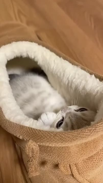 ���� ��������� ��������. �� ���, ������� �� ��� � ������� ����������