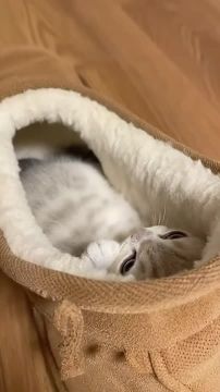 ���� ��������� ��������. �� ���, ������� �� ��� � ������� ����������