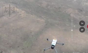 ����������� �����������. ��������� ��� ������