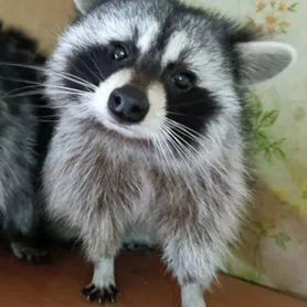 Доброе утро, друзья! Хорошего вам дня и отличного настроения!