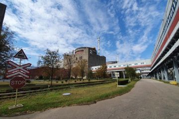 Ростехнадзор и МАГАТЭ подтвердили безопасность первого энергоблока ЗАЭС