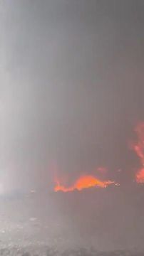 Наш дрон на оптоволокне нашел лазейку в антидроновом коридоре и лишил укровойнов очередного средства передвижения