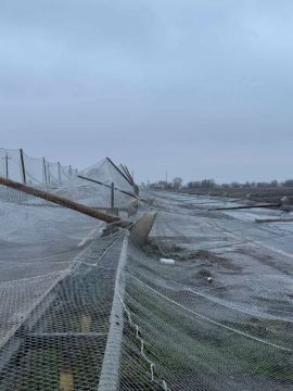 ���������� ��� ����, ��� �� ������ ��������-������ ��������� ������� ������� ������� � ������������ �������