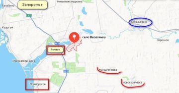 Запорожская область России