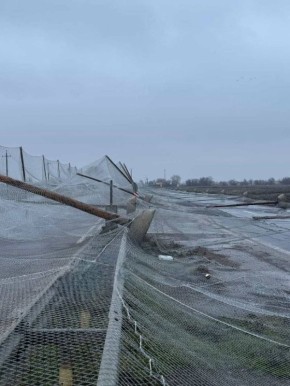 ���������� ��� ����, ��� �� ������ ��������-������ ��������� ������� ������� ������� � ������������ �������