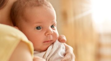 � ����������� ������� �� ������ �� ���� �������� 41 �����