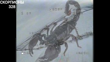 ������ ����������. ������� FPV 328 ��. ��� 104 ��. ��� ��� �� ������� ��� ������ ���������� ������� ����� �� ���������� �������