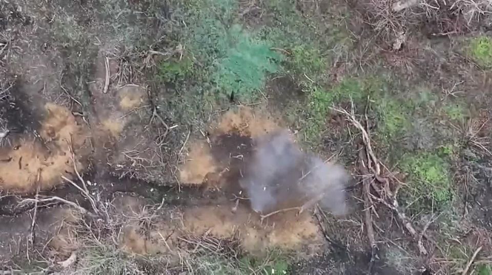 ���������� �����������. ������ ����������