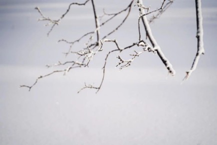 �� ����������� ������� 2 ������� ��������� ������ � �������