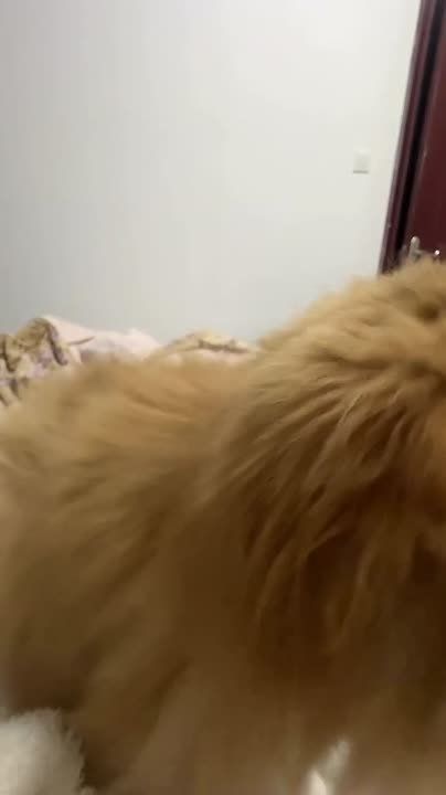 ���������� � ���������� ���
