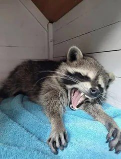 Доброй ночи, дорогие подписчики! Доброй ночи, Запорожье!