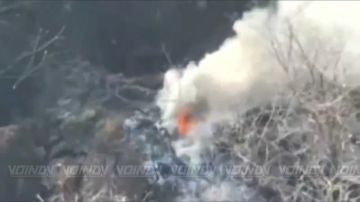 ������ ���������� ������������� 305 ������� 5 ����� ����������� ����� "������" �� ���������� ��������� ��������� � ����������� ������� ������� ��� �� ����������� �����������: