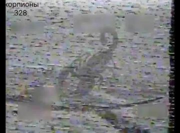 ����������� �����������. ������� FPV 328 ��. ��� 104 ��. ��� ��� �� ������� ��� "�����" ���������� ������� ����� �� ���������� �������