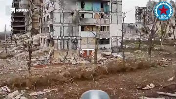 ���������� ���, ��� �������������� ������� ������: ��������� �����-������ �� ��������� �������� ����� ������ ����� �� �����