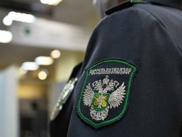 � ����������� ������� ������������������ ��������� ��������� 5 ���� ������ � �������� ��������� ��� ���