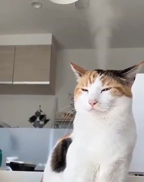 ������������ �����. ������ ������ �� ���, � ����� ������� �������� ���