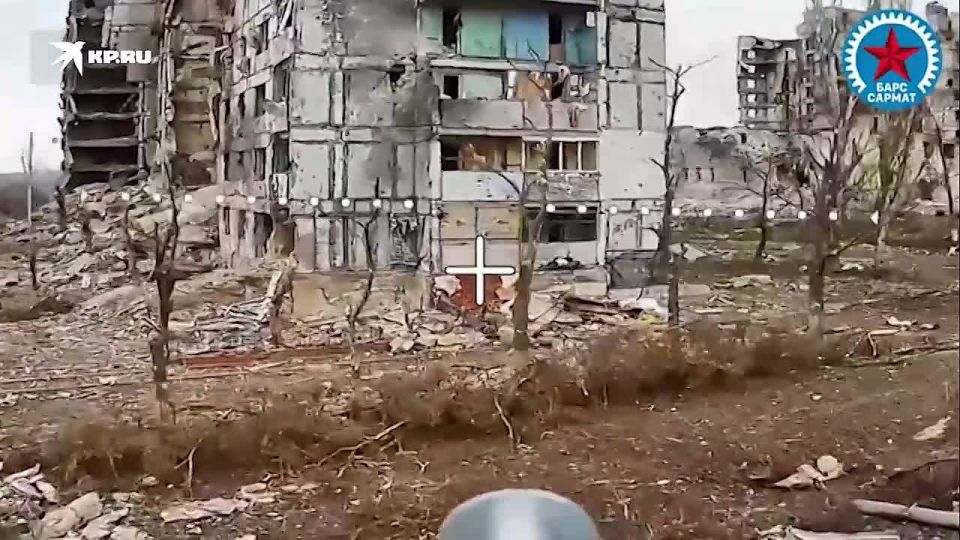 ���������� ���, ��� �������������� ������� ������: ��������� �����-������ �� ��������� �������� ����� ������ ����� �� �����