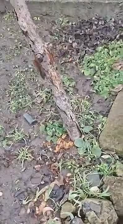 ���������: ����-���������!