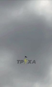 ���������� ���� ����� ������ ��� ���������� � ���������� ���������-������