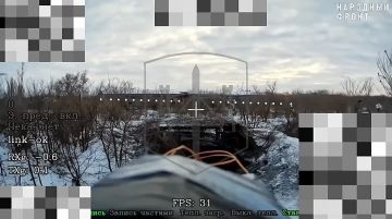 ���������� �����������. �������� �������� ����� 291 ������������ ��������������� ����� 58 ����� ��������� ��� �����