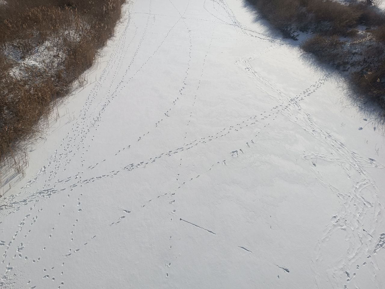 АДМИНИСТРАЦИЯ ПРИМОРСКОГО МУНИЦИПАЛЬНОГО ОКРУГА НАПОМИНАЕТ!!!!!!!