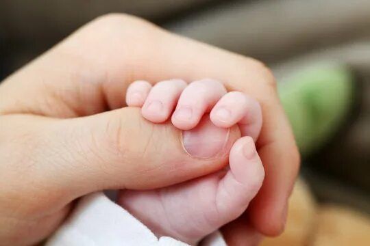 ��������� ����� ����� � ���������� ������