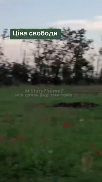 �����.. ���� �������� ������� ���, ����� ������� ������������ ��������������� International MaxxPro ��� ����� � �.�. �������� ����������� �������