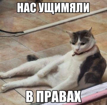 ������ ������. � ������������� �� �������� ������������ � ����������� �������� ��������, ���� �������� � ���� ������