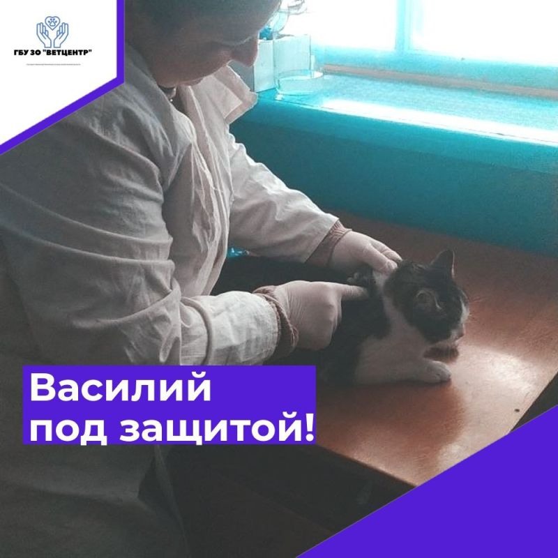 ��� ������� - ������ ���������� �������� ���������!