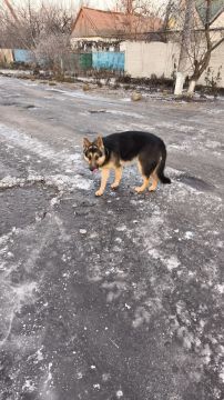 ��������, ������ ��� ����������!