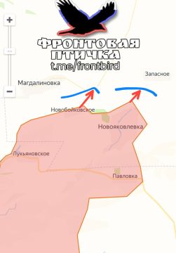 Сообщается о продвижении ВС РФ на Запорожском направлении