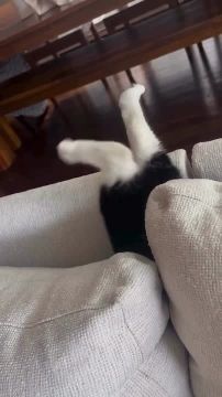 Еще один день пролетел. Удобненько укладываемся и отдыхаем