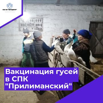 � ��� ������� ������������� ��������� ���������� ����� ������ �����������