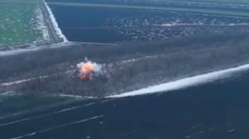 ������������ ����� ���� �� �������������