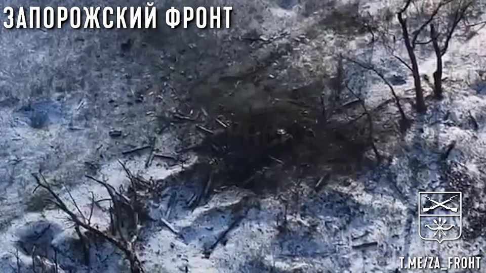 ��������� ������ �����, 291 ���� ��������� �������� ���������� �� ����������� �����������
